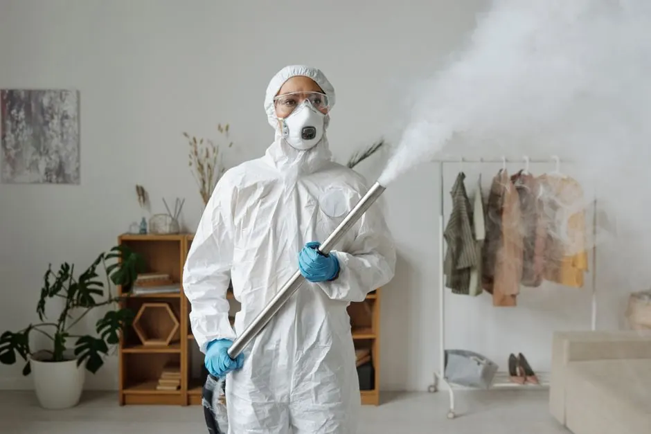 Transforming a Rental Property